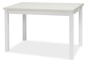 Jídelní stůl Alfred (bílá matná + bílá matná) (pro 4 osoby). 1049836