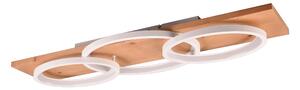 STROPNÍ LED SVÍTIDLO, 97/33/10 cm Trio Leuchten - Stropní svítidla