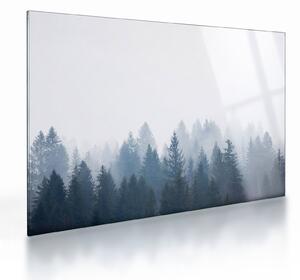 Skleněný obraz - Zamlžený les (70x50 cm)