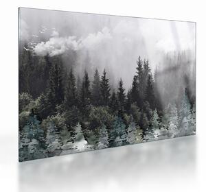 Skleněný obraz - Les s ilustrovanými prvky (70x50 cm)