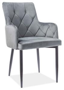 Jídelní židle Raymundo (šedá + šedá). 1050766