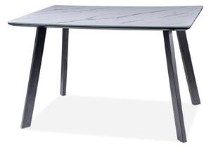 Jídelní stůl 120 cm Sherly (černá) (pro 4 osoby). 1050796