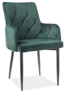 Jídelní židle Raymundo (zelená + zelená). 1050767