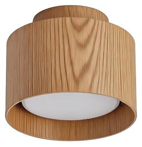 BRILAGI - LED Bodové svítidlo BACKLIT 1xGX53/15W/230V+LED/3W pr. 10 cm dek. dubu