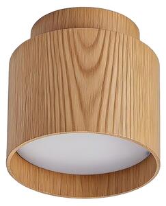 BRILAGI - LED Bodové svítidlo BACKLIT 1xGX53/15W/230V+LED/3W pr. 8 cm dek. dubu