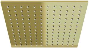 Kohlman Experience Brushed Gold hlavová sprcha 25x25 cm čtvercový WARIANT-U-OLTENS | SZCZEGOLY-U-GROHE | Q25EGDB