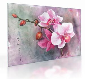 Skleněný obraz - Orchideje, aquarel (70x50 cm)