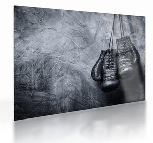 Skleněný obraz - Boxerské rukavice (70x50 cm)