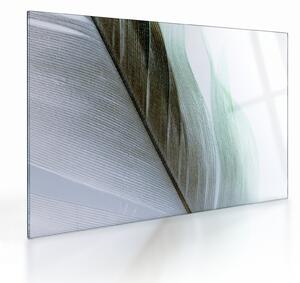 Skleněný obraz - Peří, makro (70x50 cm)