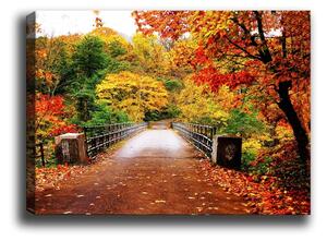 Obraz Tablo Center Autumn Bridge, 70 x 50 cm