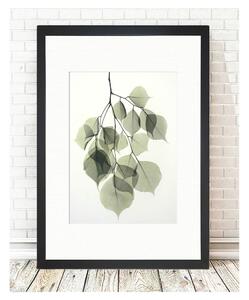 Plakát 24x29 cm Tender Leaves – Tablo Center