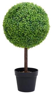 Umělý zimostráz ve tvaru koule s květináčem zelený 50 cm 336509