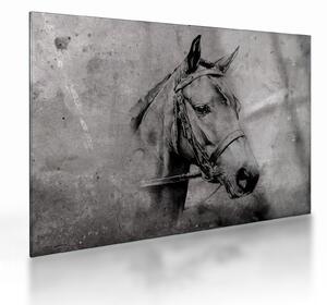 Skleněný obraz - Portrét koně (70x50 cm)