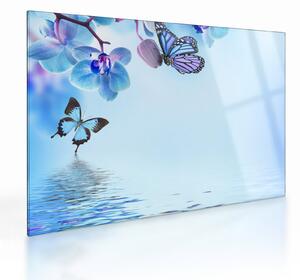 Skleněný obraz - Motýl na květech orchideje, modrý (70x50 cm)