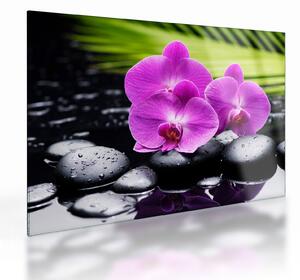 Skleněný obraz - Orchideje (70x50 cm)
