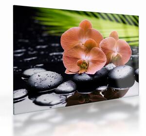Skleněný obraz - Oranžová orchidej s palmovými listy (70x50 cm)