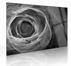 Skleněný obraz - Abstraktní růže černobílá (70x50 cm)