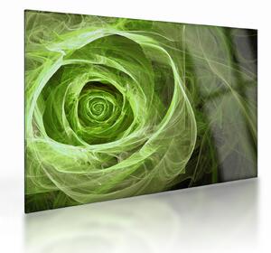 Skleněný obraz - Abstraktní růže zelená (70x50 cm)