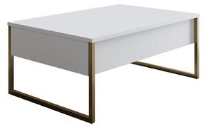 Konferenční stolek Luxury (bílá). 1062893