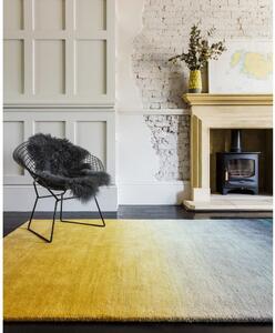 Žluto-šedý koberec Asiatic Carpets Ombre, 120 x 170 cm