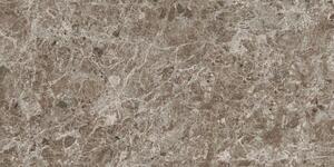 Dlažba Porcelaingres Estro brown 60x120 cm mat X126474X8
