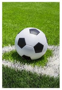 Jerry Fabrics DĚTSKÁ FLEECOVÁ DEKA FOOTBALL 100X150 CM VZOROVANÁ