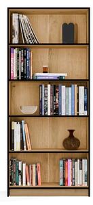 Policový regál FASRIS 4 - dub artisan / černá