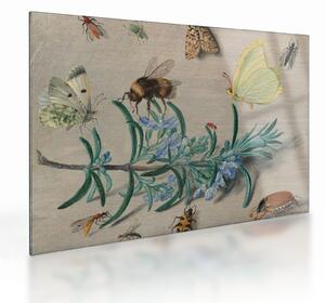 Skleněný obraz - Jan van Kessel the Elder, Insects and a Sprig of Rosemary, reprodukce (70x50 cm)
