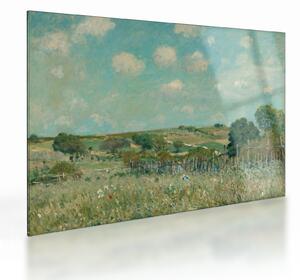 Skleněný obraz - Alfred Sisley, Meadow, reprodukce (70x50 cm)