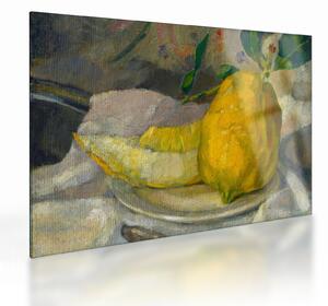 Skleněný obraz - French 19th Century, Melon and Lemon, reprodukce (70x50 cm)