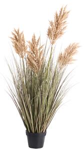 Umělá rostlina MISCANTHUS GRASS 120 cm Hnědá