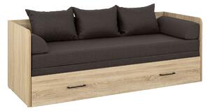 Rozkládací postel 80 cm BRW Tetrix (dub sonoma + hnědá)
