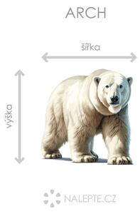 Lední medvěd arch 116 x 120 cm