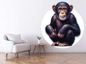 Šimpanz arch 68 x 75 cm