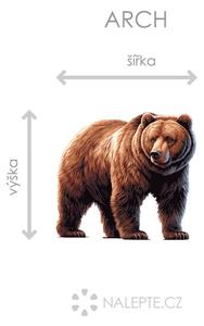 Medvěd arch 45 x 41 cm