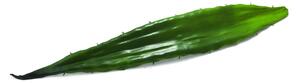Umělý Aloe list, zelený, 60cm