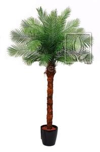 Umělá palma Phoenix, 18 listů, 210cm