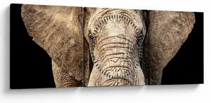 Obraz - Slon africký (s hodinami) (90x30 cm)