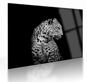 Skleněný obraz - Leopard (70x50 cm)