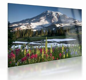 Skleněný obraz - Mount Rainier (70x50 cm)