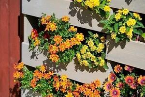 Asko a.s. Květináč HENRY nástěnný - v/š/hl: 93 x 116 x 18 cm