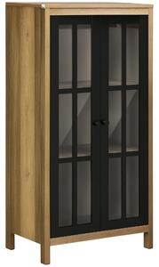 HOMCOM Moderní skleněný sekretář se 2 dveřmi, skříň do obývacího pokoje, 60x35x120cm, hnědá | Aosom