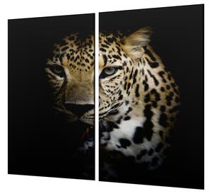 Ochranná deska šelma leopard černé pozadí - 52x60cm / S lepením na zeď