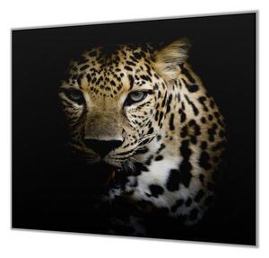 Ochranná deska šelma leopard černé pozadí - 52x60cm / S lepením na zeď