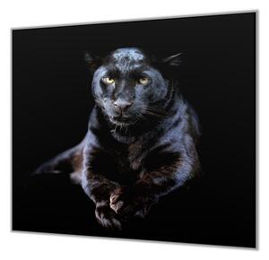 Ochranná deska šelma černý leopard - 52x60cm / S lepením na zeď
