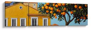 Obraz - Pomerančovník (170x50 cm)