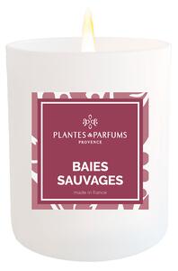 Plantes et Parfums de Provence Baies Sauvages