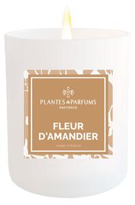 Plantes et Parfums de Provence Fleur d'Amandier