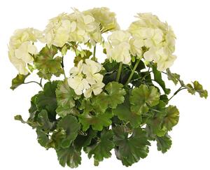 Umělá květina Geránium bílá venkovní, 39cm