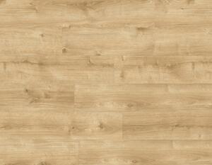IVC Vinyl MODULEO ROOTS 55 EIR Galway Oak 87372
